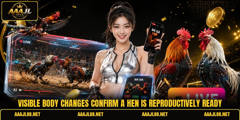 Visible body changes confirm a hen is reproductively ready